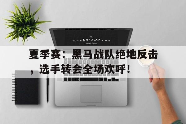 夏季赛：黑马战队绝地反击，选手转会全场欢呼！